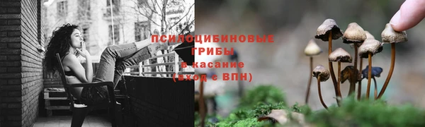 меф Алексеевка