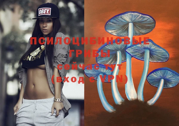 гидропоника Аркадак